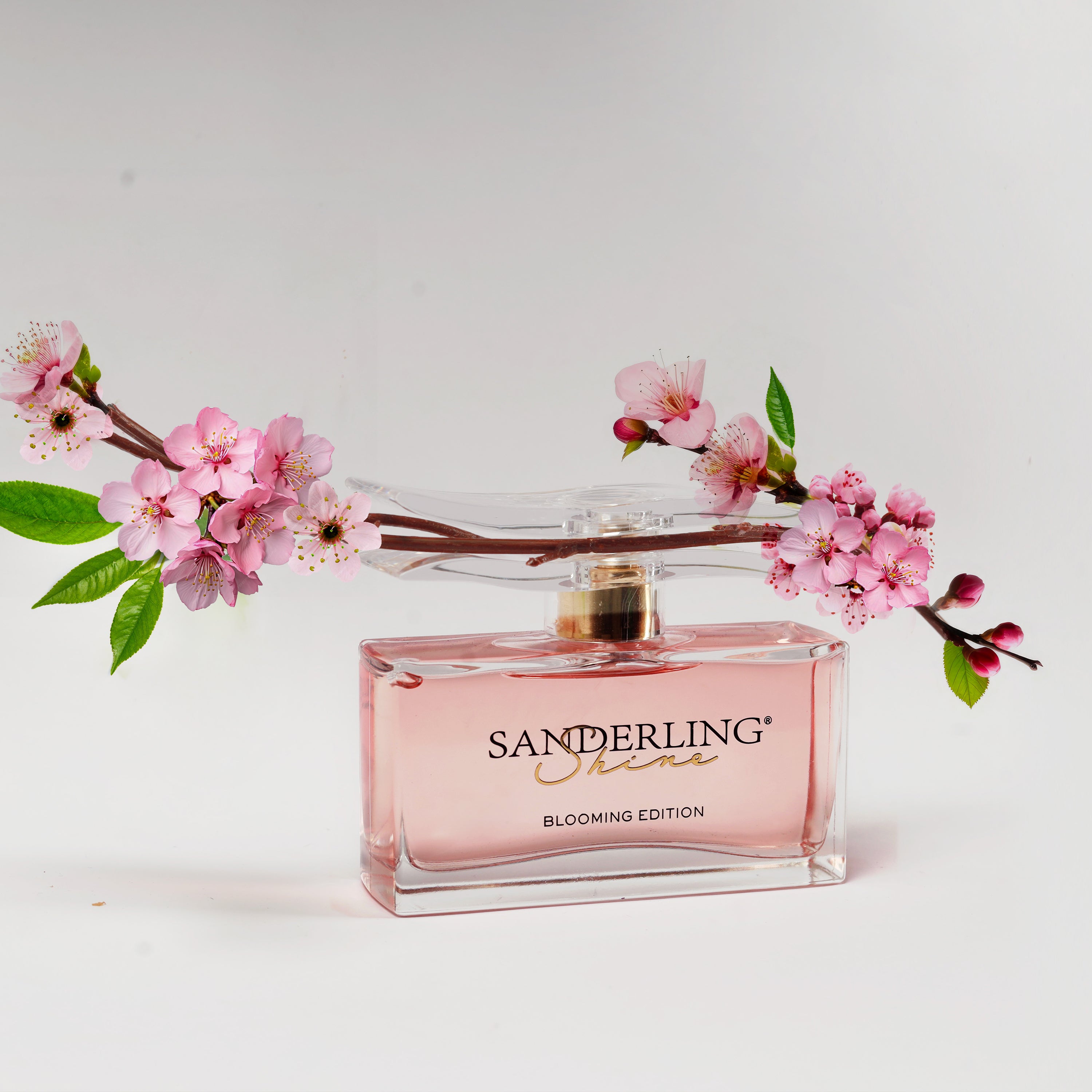 SANDERLING SHINE BLOOMING EDITION